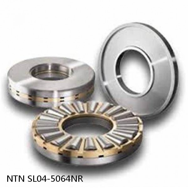 SL04-5064NR NTN Cylindrical Roller Bearing