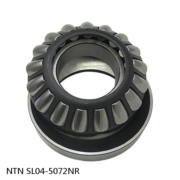 SL04-5072NR NTN Cylindrical Roller Bearing