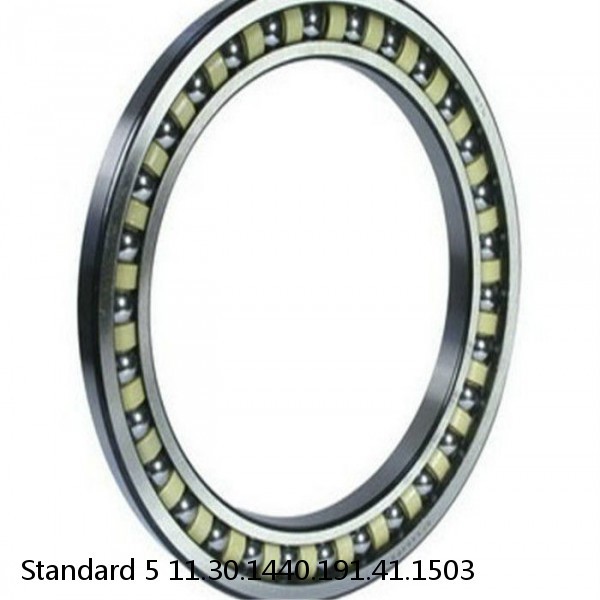 11.30.1440.191.41.1503 Standard 5 Slewing Ring Bearings