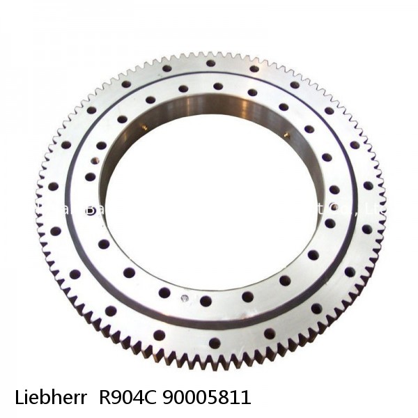 90005811 Liebherr  R904C Slewing Ring