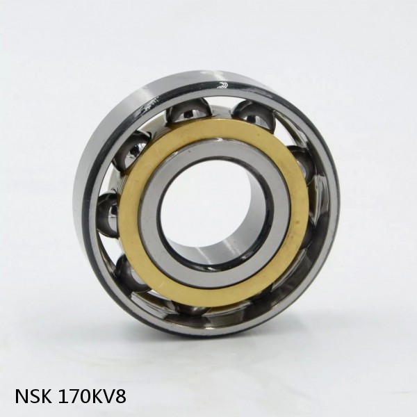 170KV8 NSK Four-Row Tapered Roller Bearing