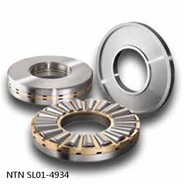 SL01-4934 NTN Cylindrical Roller Bearing