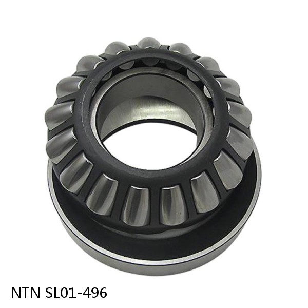 SL01-496 NTN Cylindrical Roller Bearing