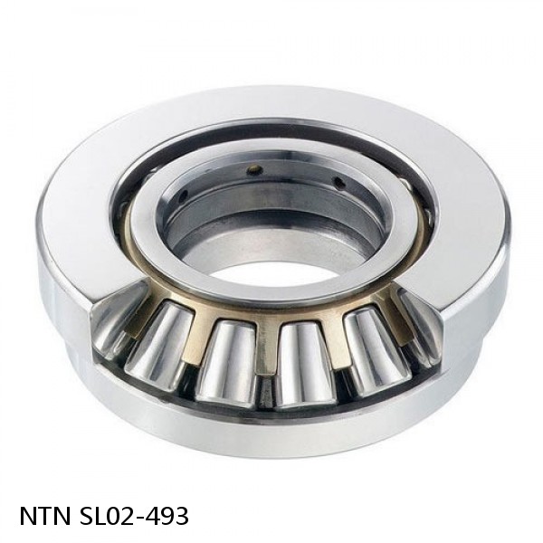 SL02-493 NTN Cylindrical Roller Bearing