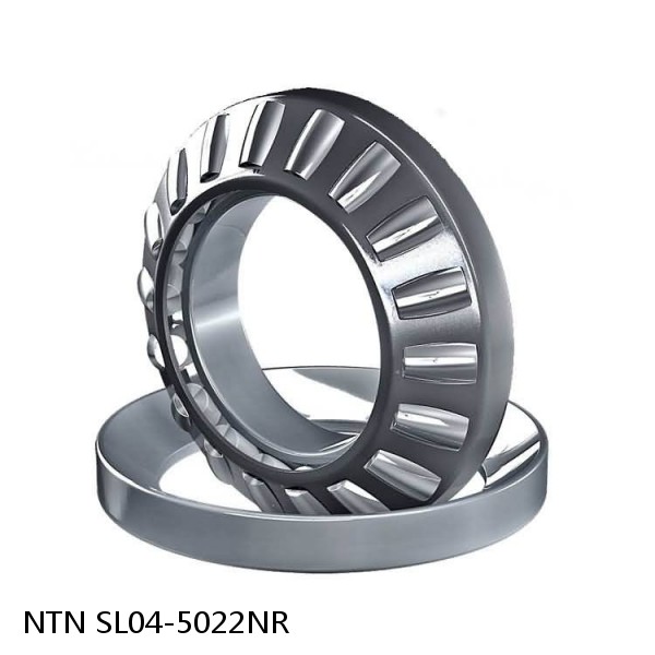 SL04-5022NR NTN Cylindrical Roller Bearing