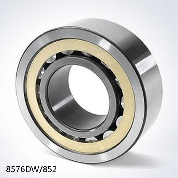 8576DW/852 Needle Self Aligning Roller Bearings