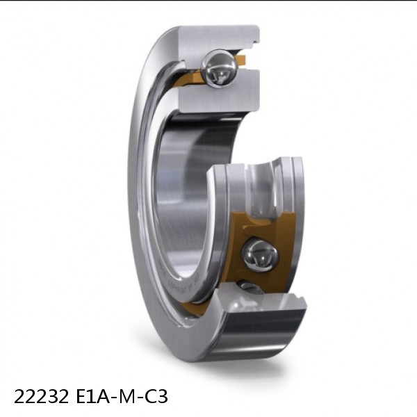 22232 E1A-M-C3          Needle Non Thrust Roller Bearings